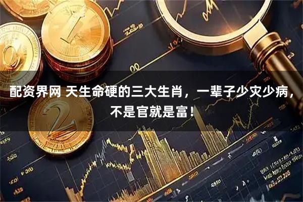 配资界网 天生命硬的三大生肖，一辈子少灾少病，不是官就是富！