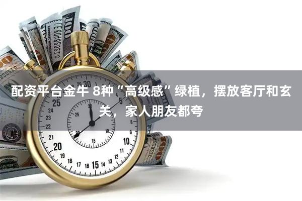 配资平台金牛 8种“高级感”绿植，摆放客厅和玄关，家人朋友都夸